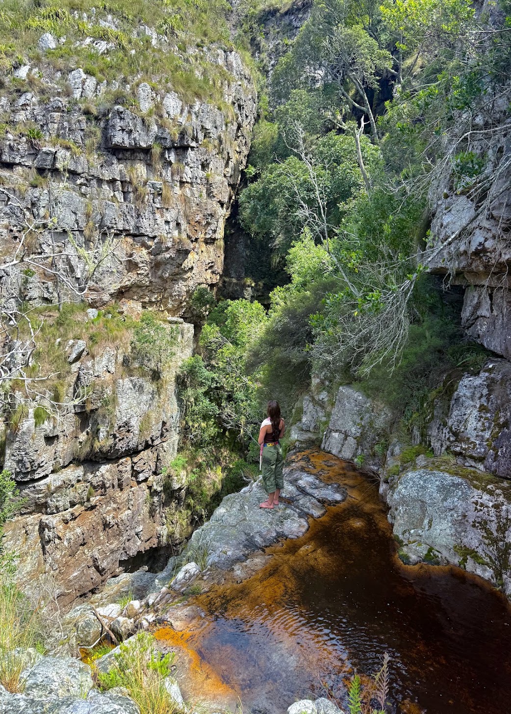 Standing barefoot at a tea-stained mountain pool beneath sheer Cederberg cliffs