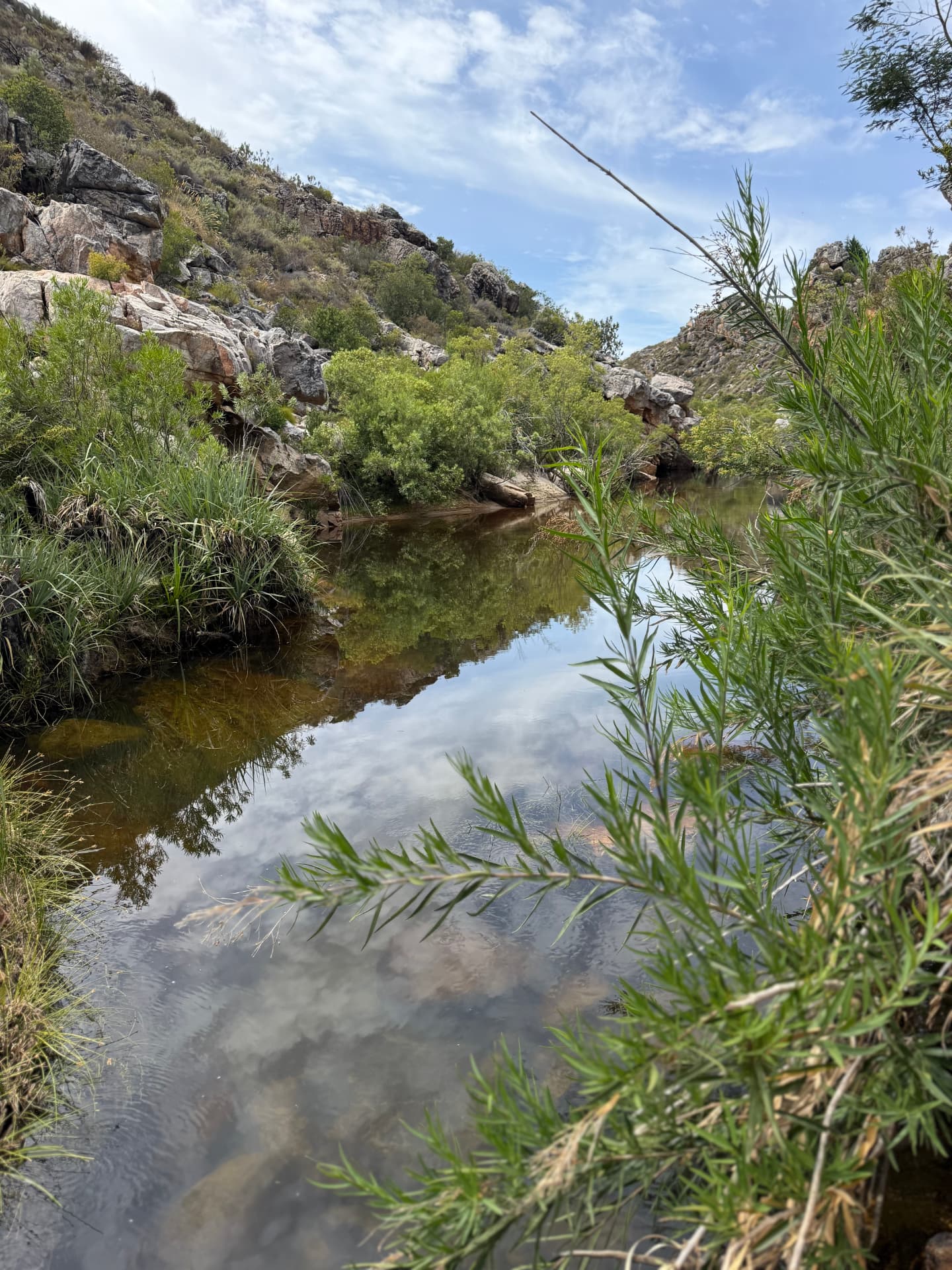 Clear river water moving over ancient stone
