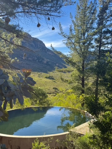 A still circular pool reflecting trees and the mountainside at Leopard Valley