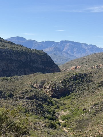 Layered Cederberg mountain ranges folding into the distance at Leopard Valley